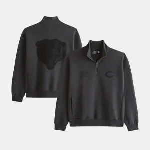 Abercrombie Bears YPB neoKNIT MAX Half-Zip Sweatshirt