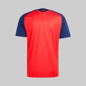 Adidas-spain-authentic-jersey