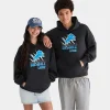 Aeropostale Detroit Lions Hoodie