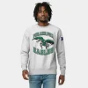 Disney x Champion Eagles Doctor Doom Reverse Weave Sweatshirt