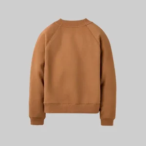 Ugg-Sweatshirt-Brown.